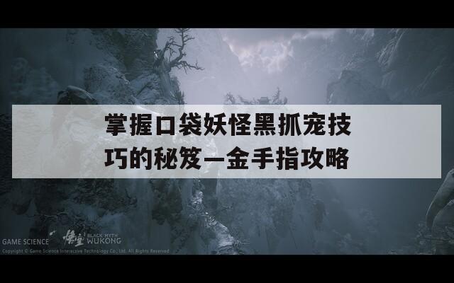 掌握口袋妖怪黑抓寵技巧的秘笈—金手指攻略
