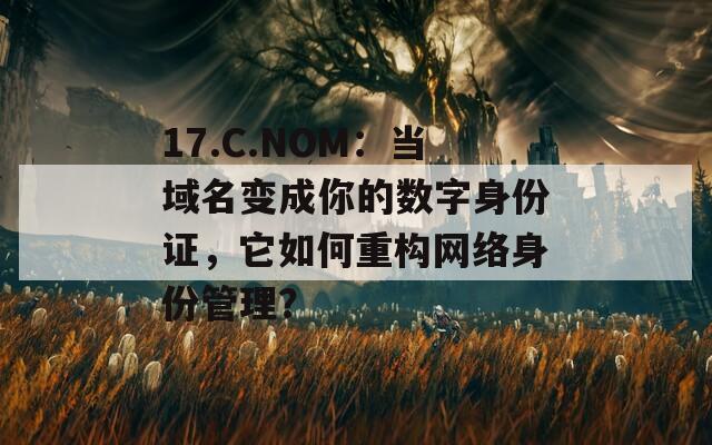 17.C.NOM：當域名變成你的數(shù)字身份證，它如何重構網絡身份管理？