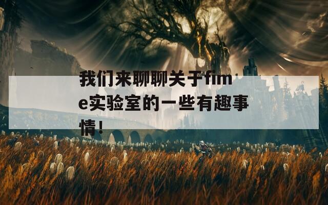 我們來聊聊關(guān)于fime實驗室的一些有趣事情！