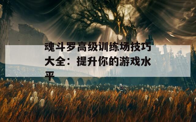 魂斗羅高級訓(xùn)練場技巧大全：提升你的游戲水平