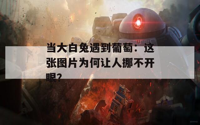 當(dāng)大白兔遇到葡萄：這張圖片為何讓人挪不開眼？