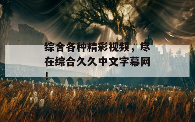 綜合各種精彩視頻，盡在綜合久久中文字幕網(wǎng)！