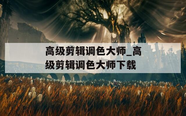 高級(jí)剪輯調(diào)色大師_高級(jí)剪輯調(diào)色大師下載