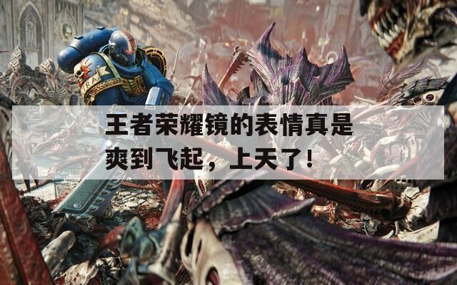 王者榮耀鏡的表情真是爽到飛起，上天了！