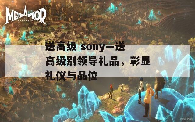 送高級 sony—送高級別領(lǐng)導(dǎo)禮品，彰顯禮儀與品位
