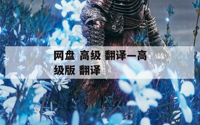網(wǎng)盤(pán) 高級(jí) 翻譯—高級(jí)版 翻譯