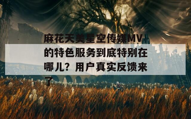 麻花天美星空傳媒MV的特色服務(wù)到底特別在哪兒？用戶真實(shí)反饋來了