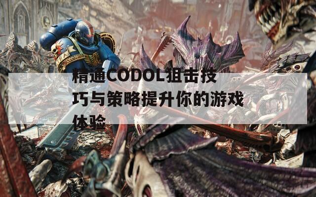 精通CODOL狙擊技巧與策略提升你的游戲體驗(yàn)