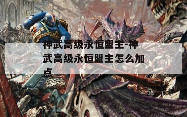 神武高級永恒盟主-神武高級永恒盟主怎么加點