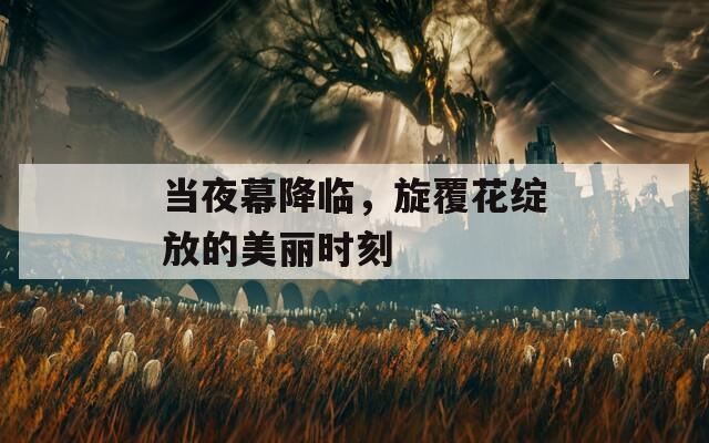 當夜幕降臨，旋覆花綻放的美麗時刻