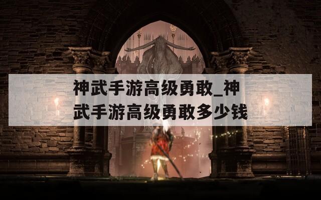 神武手游高級(jí)勇敢_神武手游高級(jí)勇敢多少錢