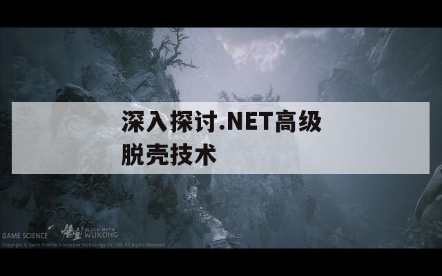 深入探討.NET高級脫殼技術(shù)