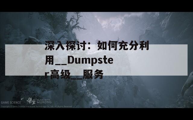 深入探討：如何充分利用__Dumpster高級__服務(wù)