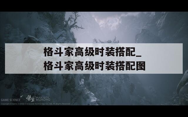 格斗家高級(jí)時(shí)裝搭配_格斗家高級(jí)時(shí)裝搭配圖