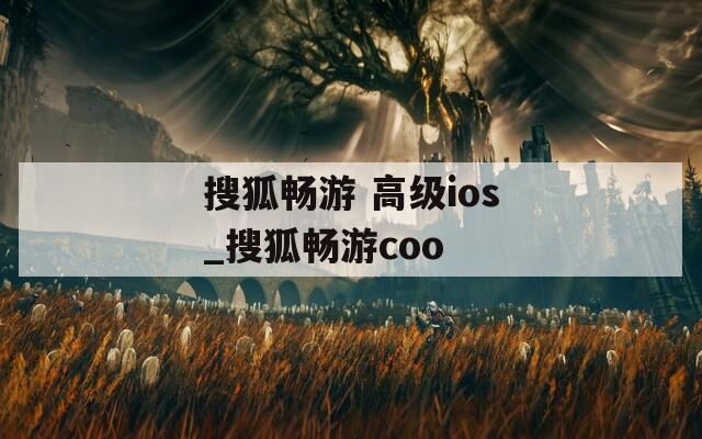 搜狐暢游 高級ios_搜狐暢游coo