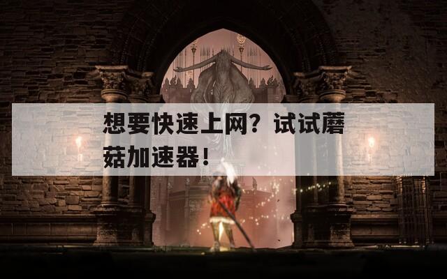 想要快速上網(wǎng)？試試蘑菇加速器！