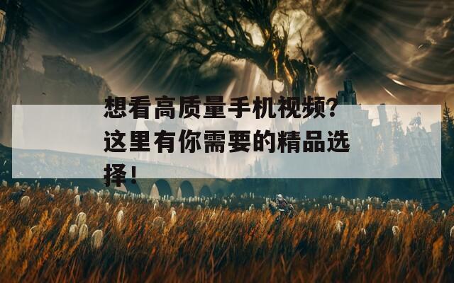 想看高質(zhì)量手機視頻？這里有你需要的精品選擇！