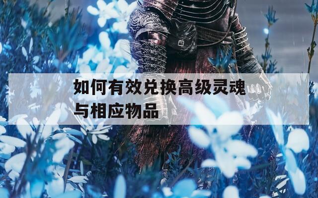 如何有效兌換高級(jí)靈魂與相應(yīng)物品