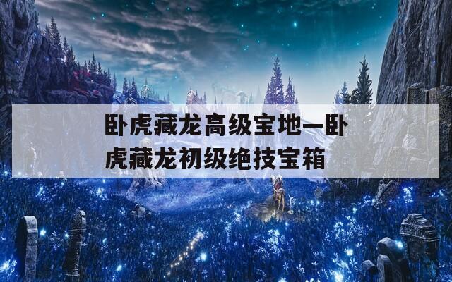 臥虎藏龍高級寶地—臥虎藏龍初級絕技寶箱