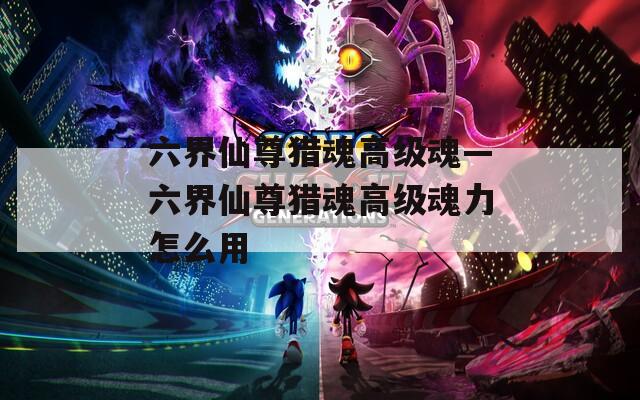 六界仙尊獵魂高級(jí)魂—六界仙尊獵魂高級(jí)魂力怎么用