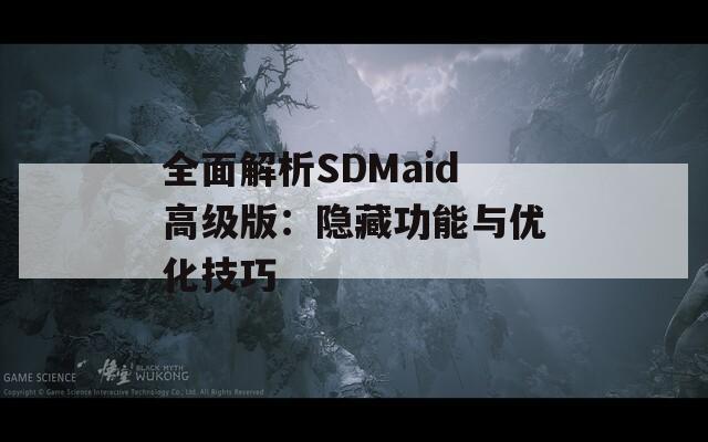 全面解析SDMaid高級版：隱藏功能與優(yōu)化技巧