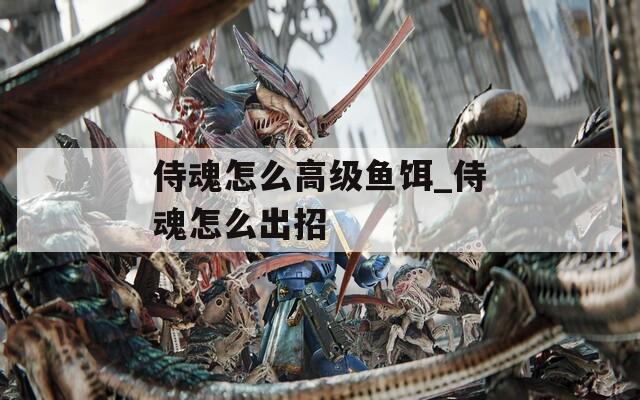 侍魂怎么高級(jí)魚餌_侍魂怎么出招